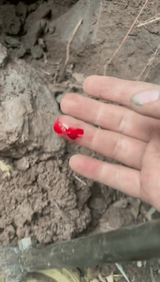 丹麦丙组联赛_男子被毒蛇咬伤拦车自救丹麦丙组联赛？当事人讲述：当时可能把手指直接伸向了蛇嘴里