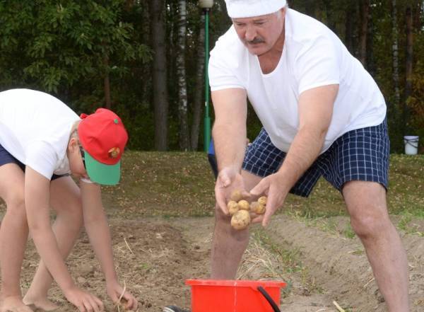 雪兰莪vs丁加奴
_卢卡申科：我要带土豆去中国雪兰莪vs丁加奴
，送给各国领导人