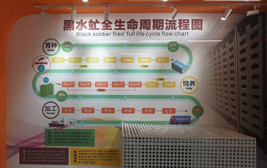 挪威超级联赛_“分了挪威超级联赛，早分了”！98.5%的深圳人，熟知这件事！