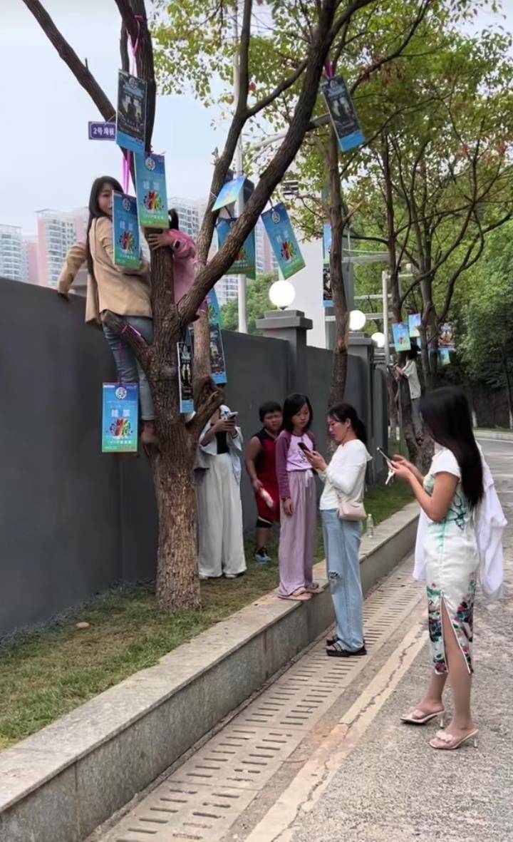 如何调整最小投注金额？_“湘超”永州主场一票难求如何调整最小投注金额？，官方推出“树上挂票”并提醒：每棵树限挂160斤以下的3人，严禁带蛇观赛