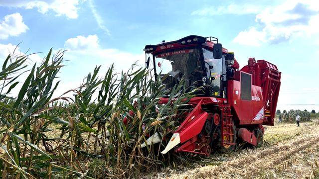 皇冠信用網_全国26家实验室参与皇冠信用網!由雷沃支持的这场“田间论剑”举行