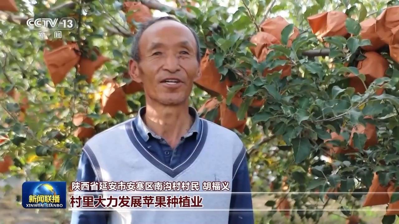 皇冠信用網会员_新思想引领新征程丨绘就乡村全面振兴壮美画卷